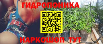круглые Тара