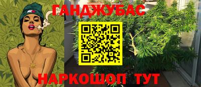 спиды Славгород
