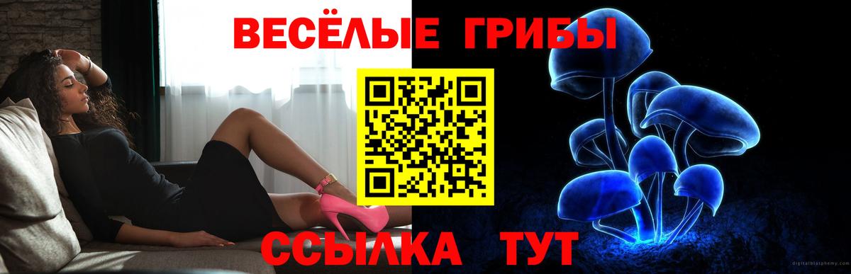 Нефтекамск  закладка  Вход с VPN  Псилоцибиновые грибы ЛСД  Псилоцибиновые грибы прущие грибы 